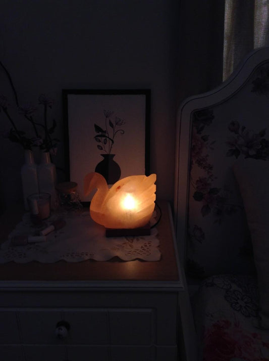 Swan Lamp crafted in Pink Salt (Khewra Mines)