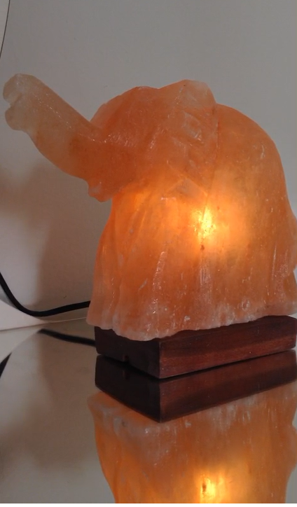Mamoth/Elephant Crafted in Pink Salt Lamp (Khewra Mines)