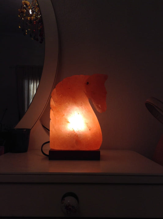 Horse Shaped Salt Lamp (Luxury)