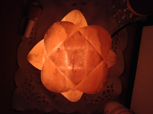 Rose Flower Shaped Salt Lamp (Khewra Mines)
