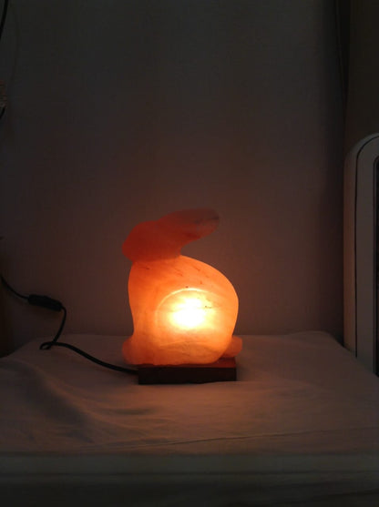 Rabbit crafted in Pink Salt (Khewra Mines)