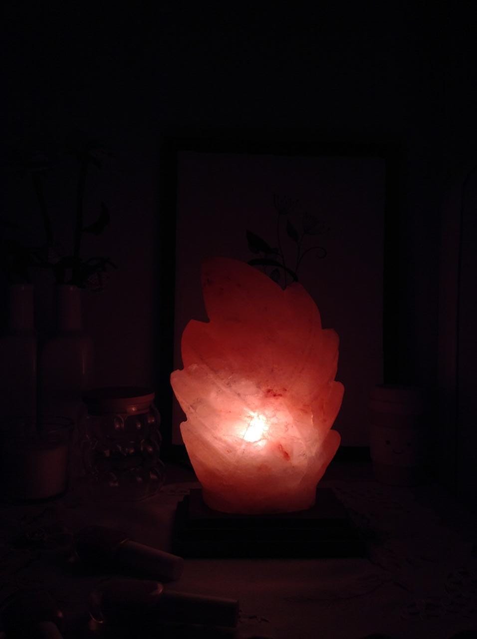 Leaf Crafted Salt Lamp (Khewra Mines)