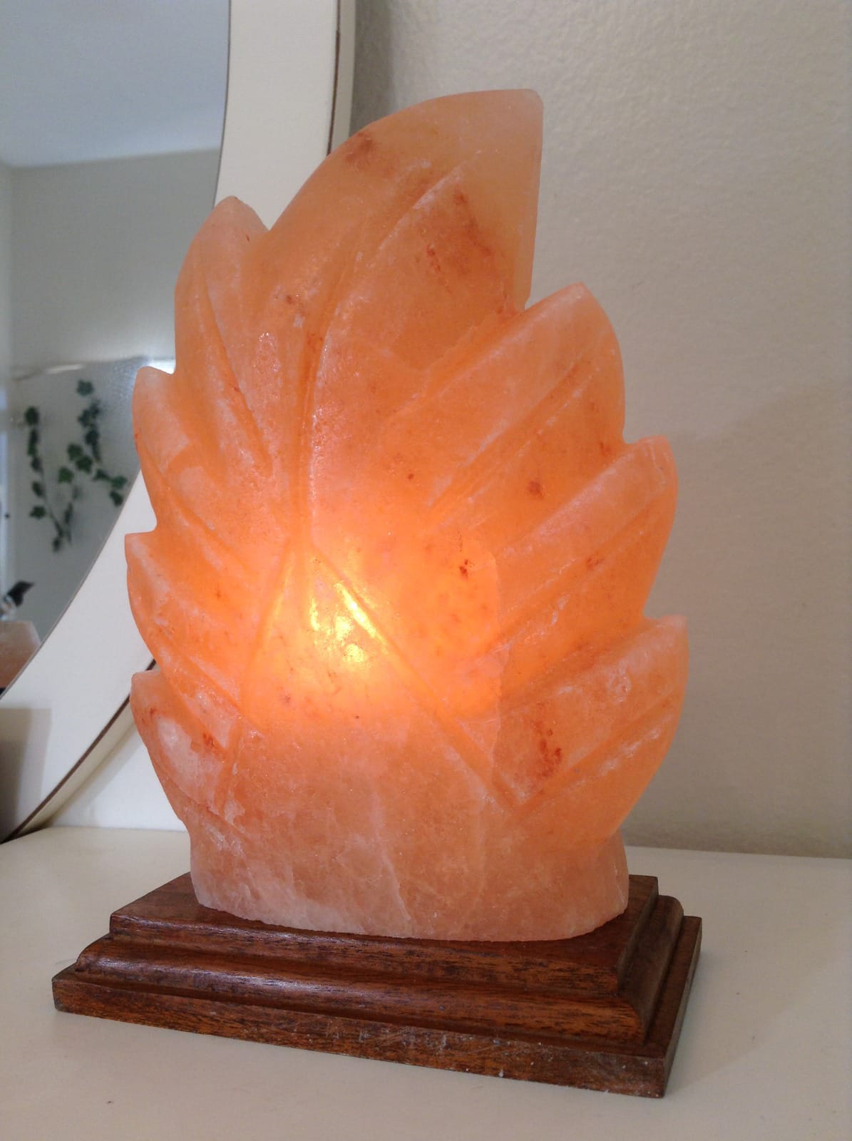 Leaf Crafted Salt Lamp (Khewra Mines)