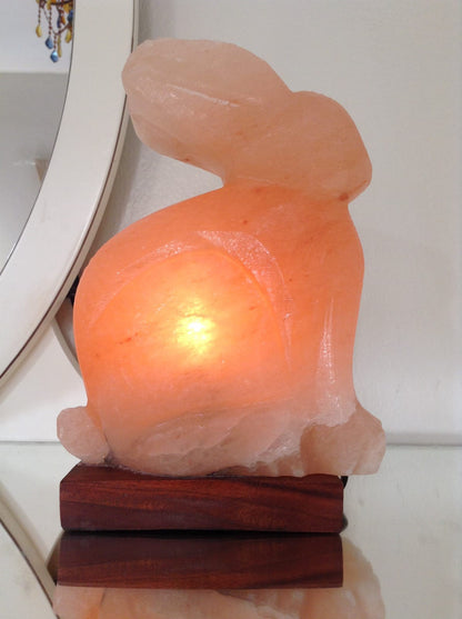 Rabbit crafted in Pink Salt (Khewra Mines)