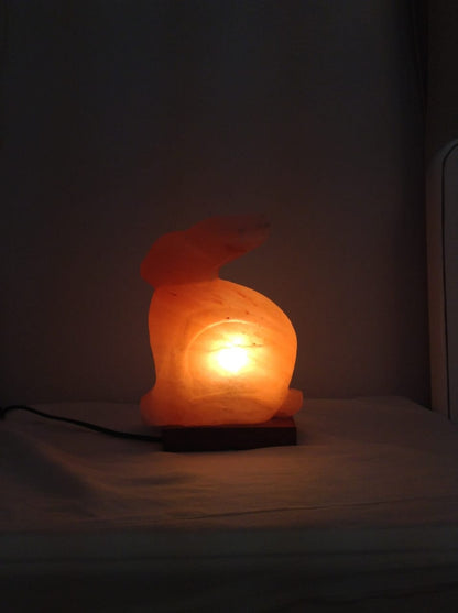 Rabbit crafted in Pink Salt (Khewra Mines)