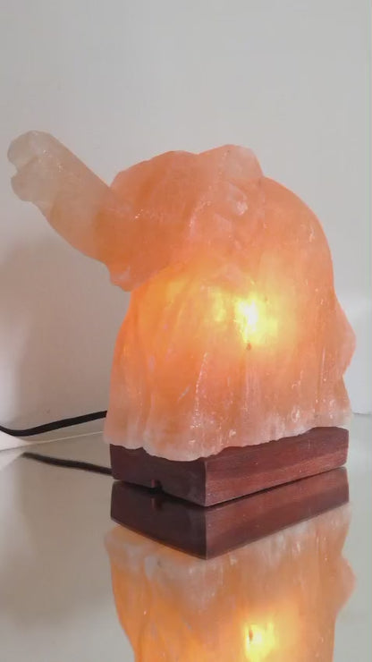 Mamoth/Elephant Crafted in Pink Salt Lamp (Khewra Mines)