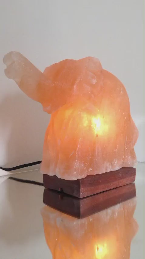 Mamoth/Elephant Crafted in Pink Salt Lamp (Khewra Mines)